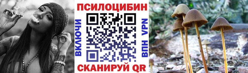 Галлюциногенные грибы ЛСД дарк нет формула Сертолово