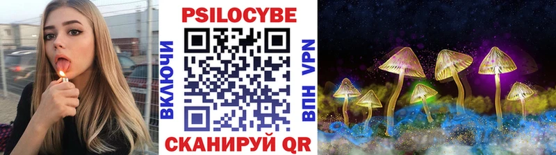 Галлюциногенные грибы Cubensis Сертолово