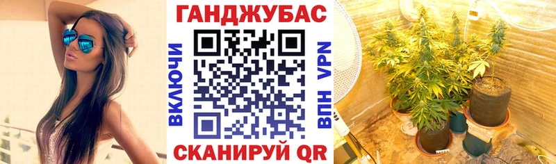 как найти   блэк спрут зеркало  МАРИХУАНА конопля  Сертолово 